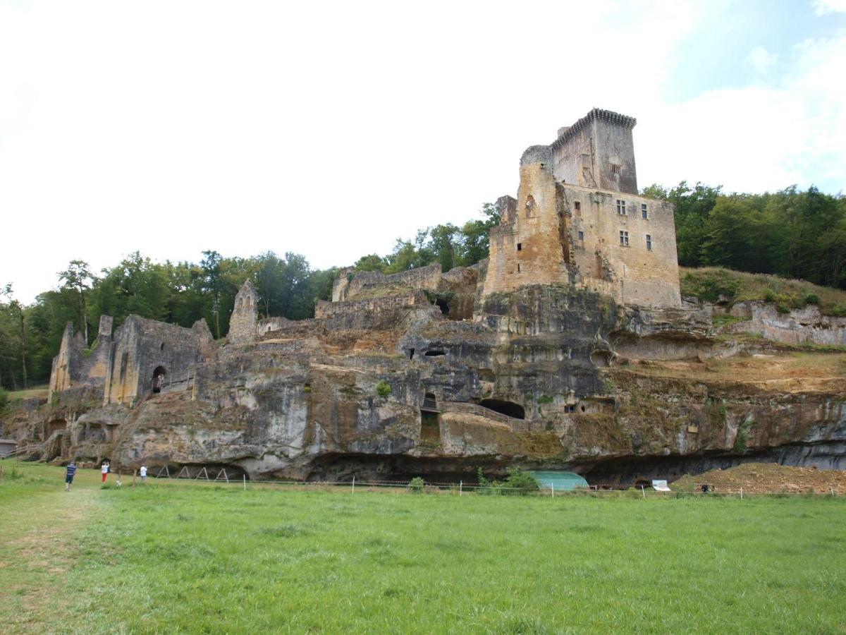 Cozy Cottage In Aquitaine With Private Swimming Pool Peyzac-le-Moustier Exteriör bild